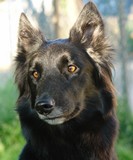 Aava - 3 Jahre