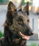 Aella - 3 Jahre