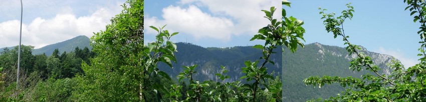Panorama des Juras�dfusses mit Blick auf Weissenstein