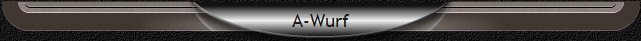 A-Wurf A-Wurf