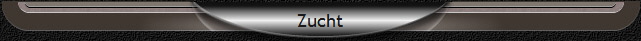 Zucht